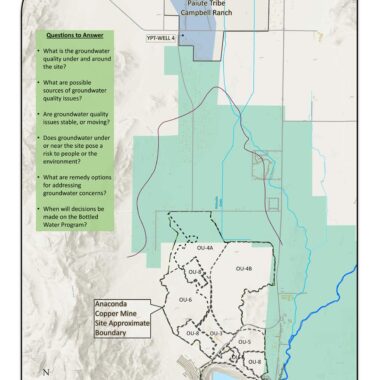 Anaconda Role Ecosystem: Impact on Environment