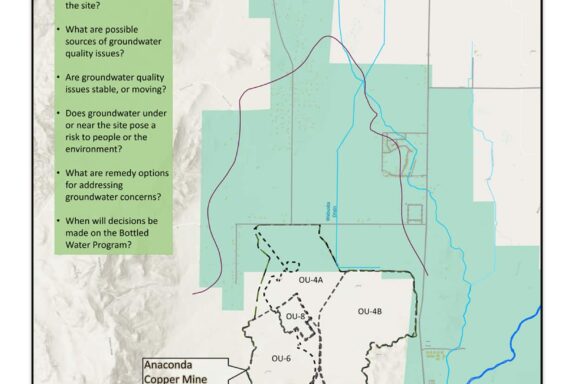 Anaconda Role Ecosystem: Impact on Environment