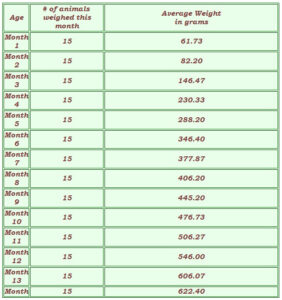 Ball Python Weight by Age: Growth Chart