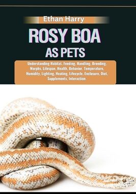 Boa Constrictor Pet: Essential Owner's Guide