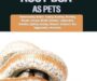 Boa Constrictor Pet: Essential Owner’s Guide