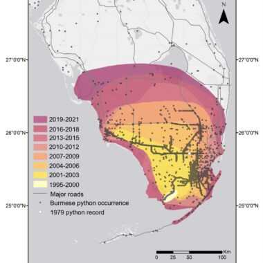 Burmese Python Range: Habitat and Distribution