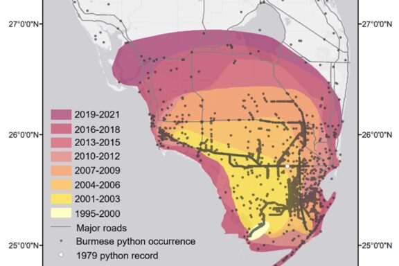 Burmese Python Range: Habitat and Distribution