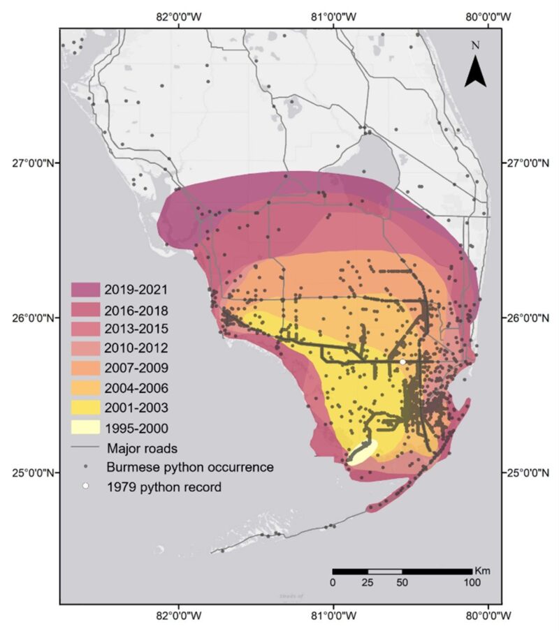 Burmese Python Range: Habitat and Distribution