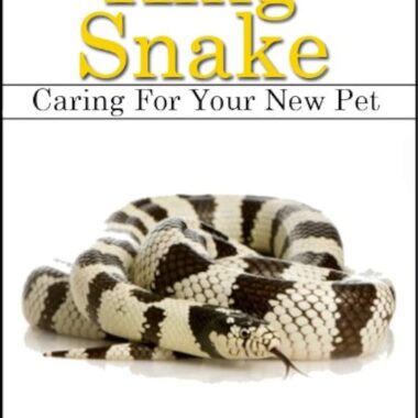 California Kingsnake Size: Growth Guide