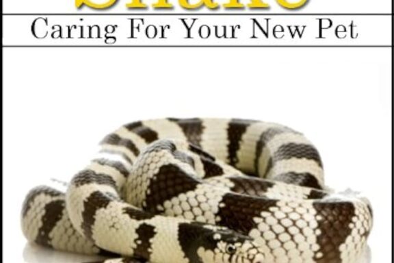 California Kingsnake Size: Growth Guide