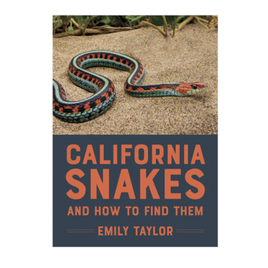 California Striped Racer vs Garter Snake: Compare