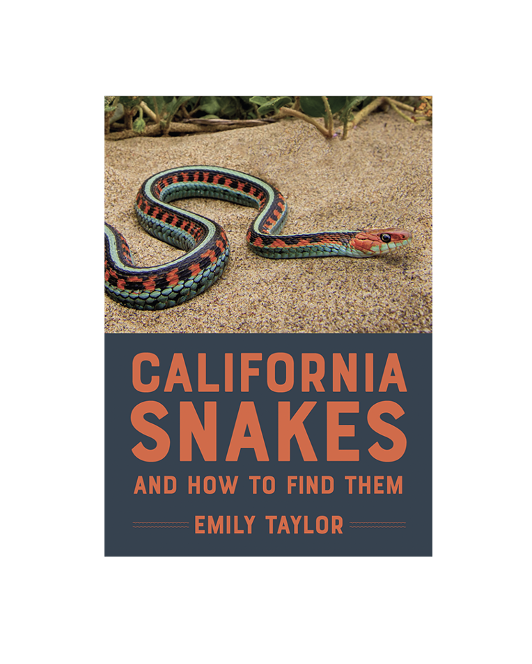 California Striped Racer vs Garter Snake: Compare