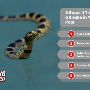 Do Water Snakes Bite Humans: Safety Guide