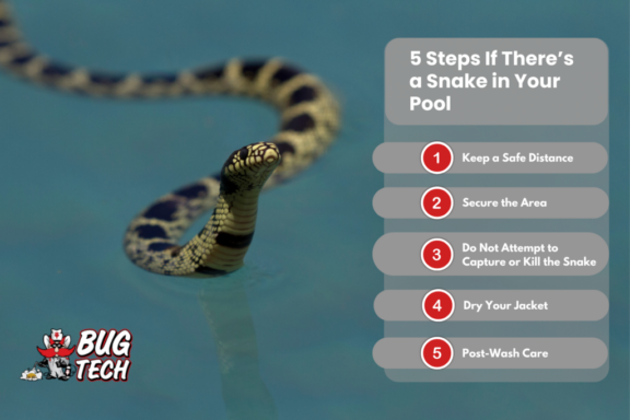 Do Water Snakes Bite Humans: Safety Guide