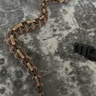 Gaboon Viper Handling Tips: Safety First