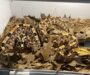 Gaboon Viper Mating Habits: Breeding Guide