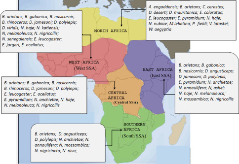 Gaboon Viper Range: African Distribution Map