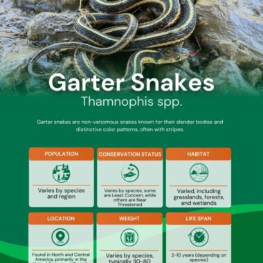 Garter Snake Venom: Facts and Myths Explained