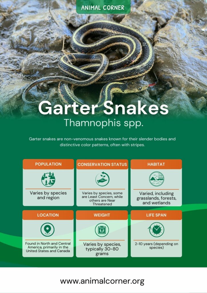 Garter Snake Venom: Facts and Myths Explained