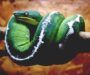 Green Tree Python vs Emerald Tree Boa: Key Differences