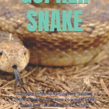 How to Breed Gopher Snakes: Complete Guide