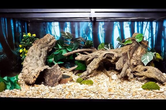 Ideal Corn Snake Habitat Setup and Tips