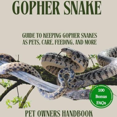 Keeping Gopher Snakes as Pets: Care Basics