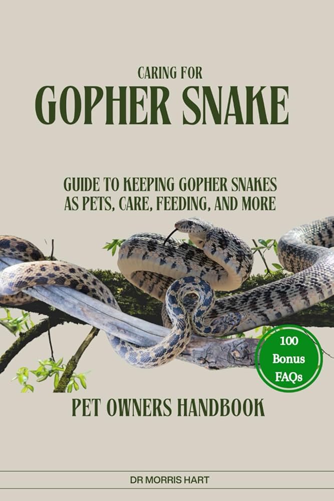 Keeping Gopher Snakes as Pets: Care Basics