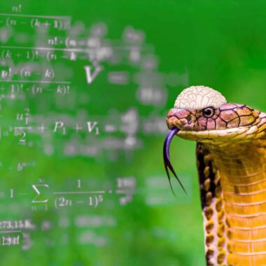 King Cobra Intelligence: How Smart Are They?