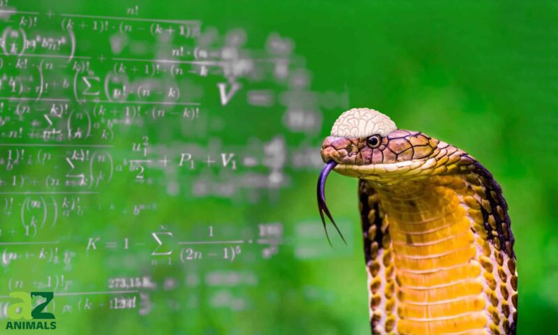 King Cobra Intelligence: How Smart Are They?