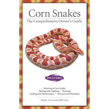 King Snakes as Pets: Complete Care Guide