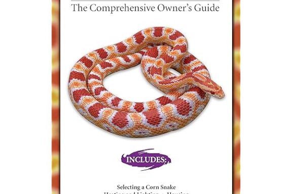 King Snakes as Pets: Complete Care Guide