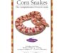 King Snakes as Pets: Complete Care Guide