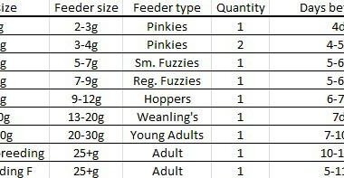 Milk Snake Feeding Chart: Diet Planning Guide