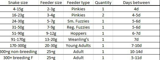 Milk Snake Feeding Chart: Diet Planning Guide