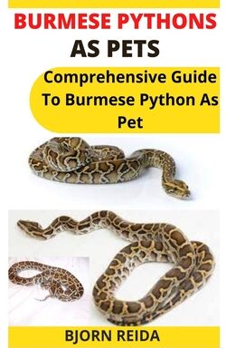 Reticulated Python as Pets: Complete Guide