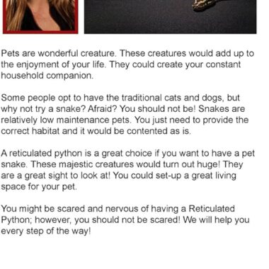 Reticulated Python Behavior: Temperament Guide