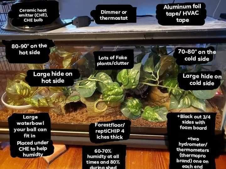 Reticulated Python Enclosure: Setup Guide