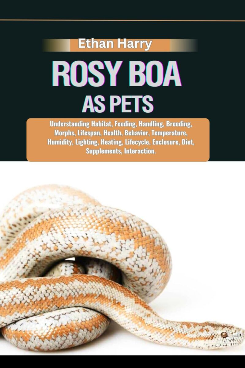 Rosy Boa Pet: Complete Ownership Guide