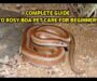 Rosy Boas: Complete Beginner Guide