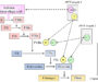 Russell’s Viper and Coagulation: Study