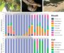 Russell’s Viper Taxonomy: Species Guide