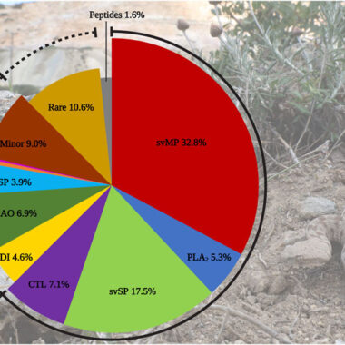 Russell's Viper Venom Yield: Research Data