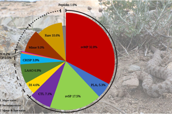 Russell's Viper Venom Yield: Research Data