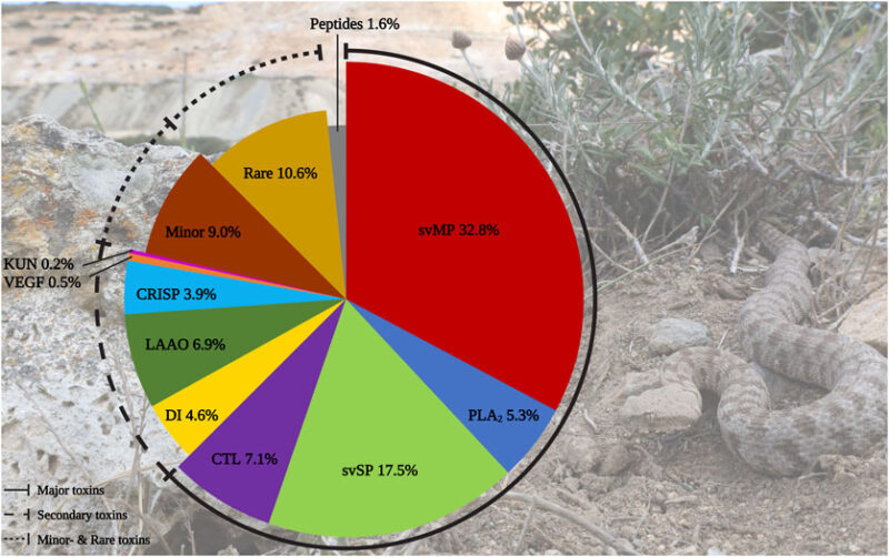 Russell's Viper Venom Yield: Research Data