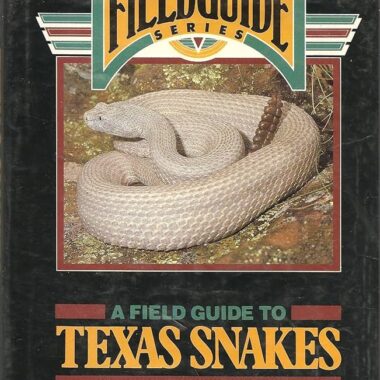 Texas King Snake: Lone Star Serpent Guide