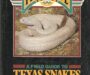 Texas King Snake: Lone Star Serpent Guide