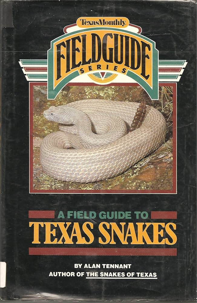 Texas King Snake: Lone Star Serpent Guide