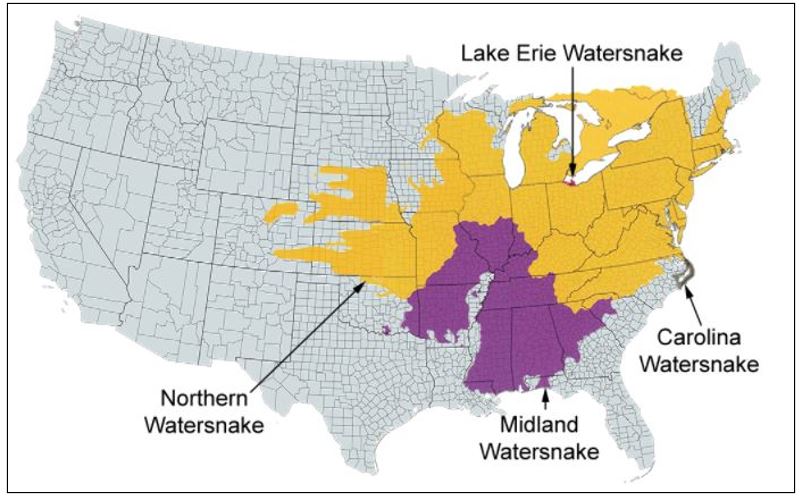 Water Snake Distribution: US Range Guide