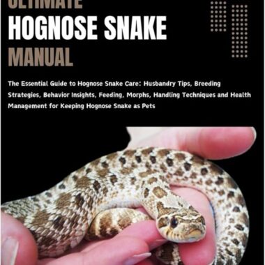 Western Hognose Snake Habitat: Natural Home Guide