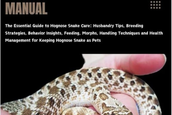 Western Hognose Snake Habitat: Natural Home Guide