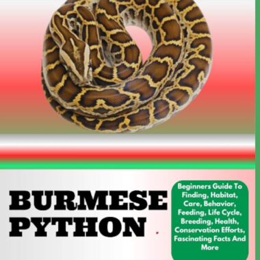 What Do Burmese Python Eat: Diet Guide