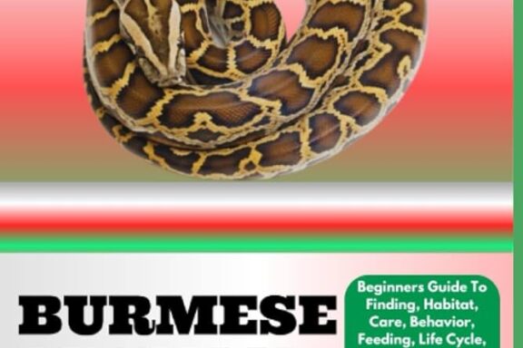 What Do Burmese Python Eat: Diet Guide