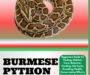 What Do Burmese Python Eat: Diet Guide